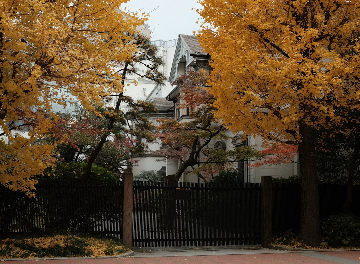 Autumn trees beside a Sophia University building in Tokyo